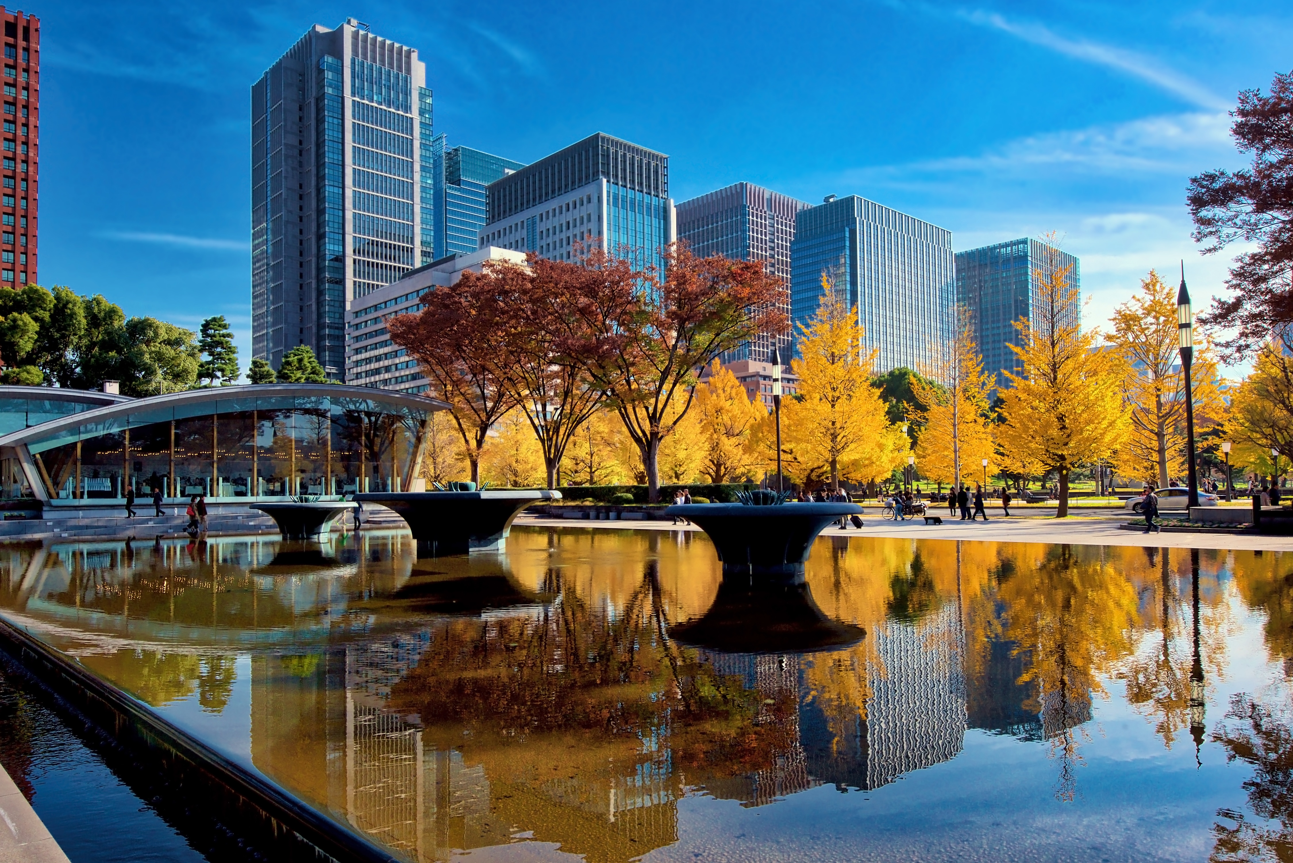 Marunouchi office towers in autumn